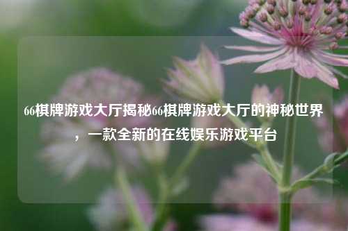 66棋牌游戏大厅揭秘66棋牌游戏大厅的神秘世界，一款全新的在线娱乐游戏平台