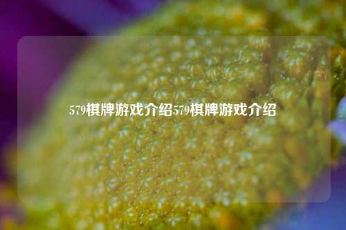 579棋牌游戏介绍579棋牌游戏介绍