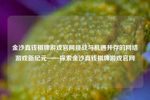 金沙真钱棋牌游戏官网挑战与机遇并存的网络游戏新纪元——探索金沙真钱棋牌游戏官网