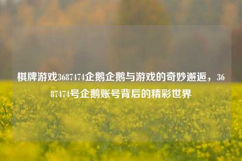 棋牌游戏3687474企鹅企鹅与游戏的奇妙邂逅，3687474号企鹅账号背后的精彩世界