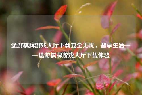 途游棋牌游戏大厅下载安全无忧，智享生活——途游棋牌游戏大厅下载体验