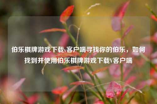 伯乐棋牌游戏下载v客户端寻找你的伯乐，如何找到并使用伯乐棋牌游戏下载V客户端