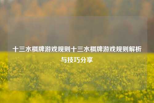 十三水棋牌游戏规则十三水棋牌游戏规则解析与技巧分享