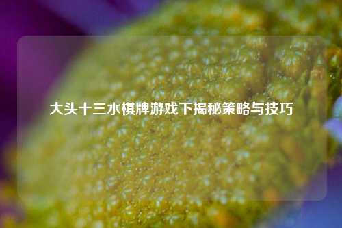 大头十三水棋牌游戏下揭秘策略与技巧