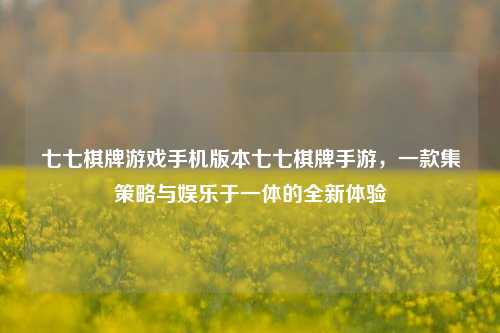 七七棋牌游戏手机版本七七棋牌手游，一款集策略与娱乐于一体的全新体验