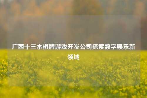 广西十三水棋牌游戏开发公司探索数字娱乐新领域