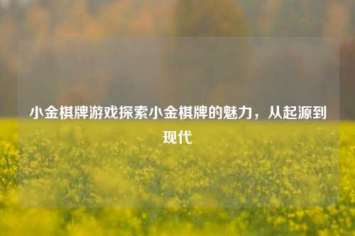 小金棋牌游戏探索小金棋牌的魅力，从起源到现代