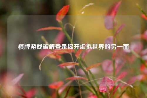棋牌游戏破解登录揭开虚拟世界的另一面