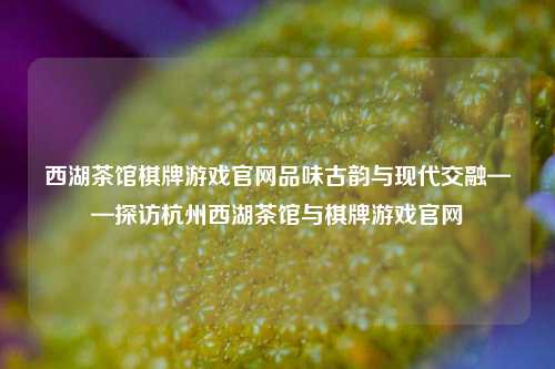 西湖茶馆棋牌游戏官网品味古韵与现代交融——探访杭州西湖茶馆与棋牌游戏官网