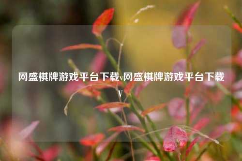 网盛棋牌游戏平台下载v网盛棋牌游戏平台下载V