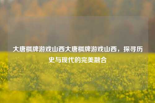 大唐棋牌游戏山西大唐棋牌游戏山西，探寻历史与现代的完美融合