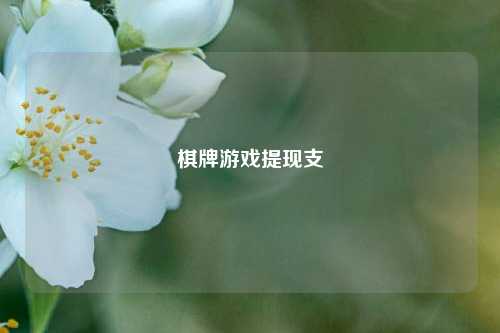 棋牌游戏提现支