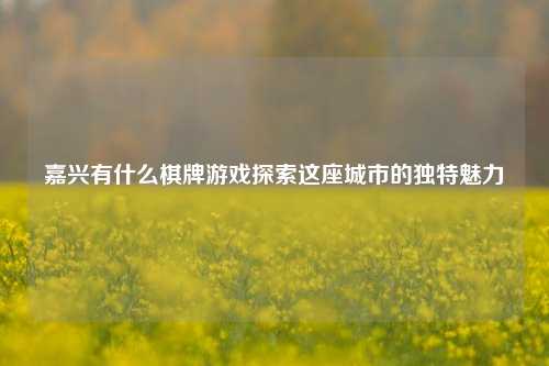 嘉兴有什么棋牌游戏探索这座城市的独特魅力