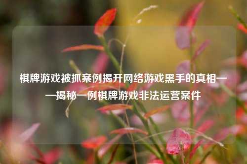 棋牌游戏被抓案例揭开网络游戏黑手的真相——揭秘一例棋牌游戏非法运营案件