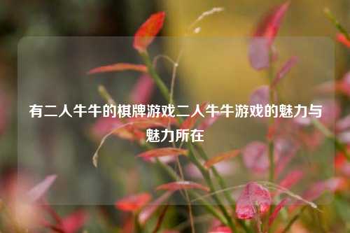 有二人牛牛的棋牌游戏二人牛牛游戏的魅力与魅力所在