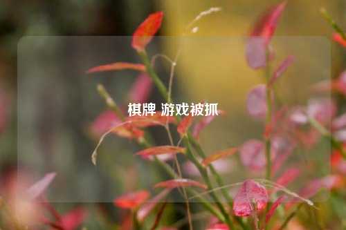 棋牌 游戏被抓