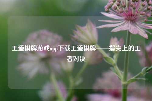 王道棋牌游戏app下载王道棋牌——指尖上的王者对决