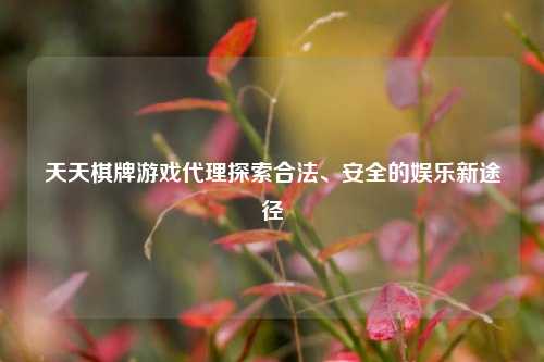 天天棋牌游戏代理探索合法、安全的娱乐新途径