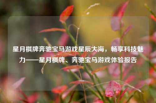 星月棋牌奔驰宝马游戏星辰大海，畅享科技魅力——星月棋牌、奔驰宝马游戏体验报告