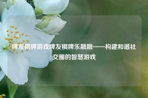 牌友棋牌游戏牌友棋牌乐融融——构建和谐社交圈的智慧游戏