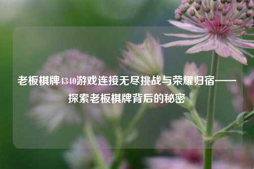 老板棋牌4340游戏连接无尽挑战与荣耀归宿——探索老板棋牌背后的秘密
