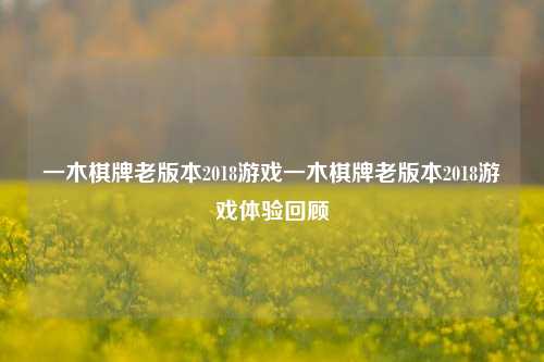 一木棋牌老版本2018游戏一木棋牌老版本2018游戏体验回顾