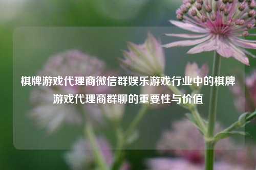 棋牌游戏代理商微信群娱乐游戏行业中的棋牌游戏代理商群聊的重要性与价值