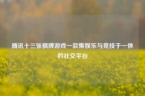 腾讯十三张棋牌游戏一款集娱乐与竞技于一体的社交平台