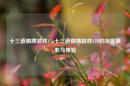 十三道棋牌游戏17n十三道棋牌游戏17N的深度探索与体验