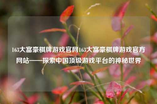 163大富豪棋牌游戏官网163大富豪棋牌游戏官方网站——探索中国顶级游戏平台的神秘世界