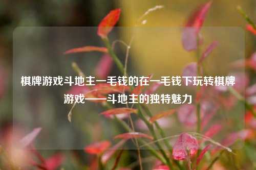 棋牌游戏斗地主一毛钱的在一毛钱下玩转棋牌游戏——斗地主的独特魅力