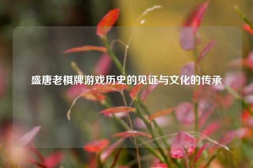 盛唐老棋牌游戏历史的见证与文化的传承