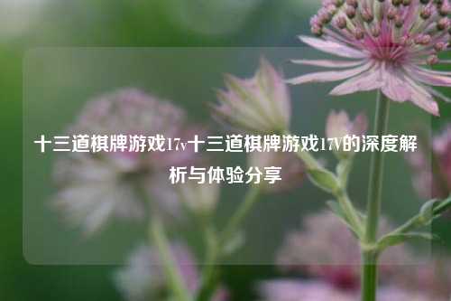 十三道棋牌游戏17v十三道棋牌游戏17V的深度解析与体验分享