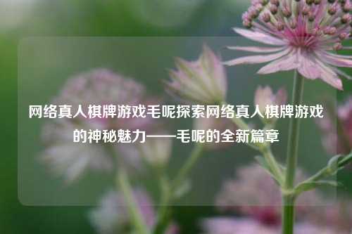 网络真人棋牌游戏毛呢探索网络真人棋牌游戏的神秘魅力——毛呢的全新篇章