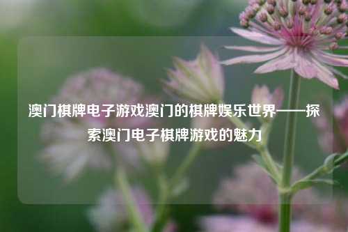 澳门棋牌电子游戏澳门的棋牌娱乐世界——探索澳门电子棋牌游戏的魅力