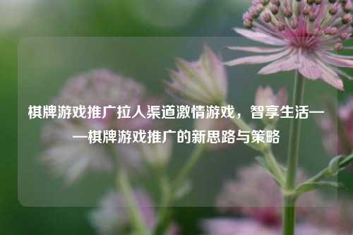 棋牌游戏推广拉人渠道激情游戏，智享生活——棋牌游戏推广的新思路与策略