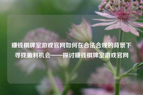 赚钱棋牌室游戏官网如何在合法合规的背景下寻找盈利机会——探讨赚钱棋牌室游戏官网