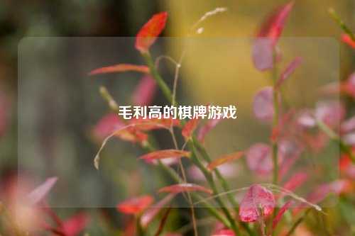 毛利高的棋牌游戏