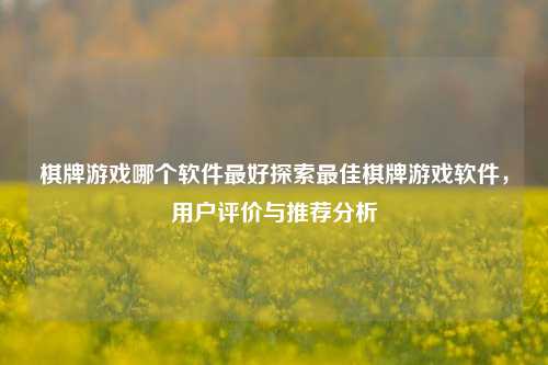 棋牌游戏哪个软件最好探索最佳棋牌游戏软件，用户评价与推荐分析