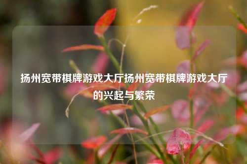 扬州宽带棋牌游戏大厅扬州宽带棋牌游戏大厅的兴起与繁荣