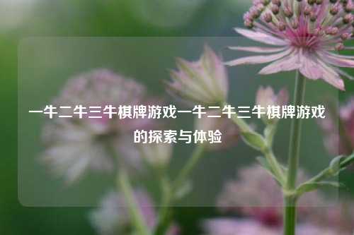 一牛二牛三牛棋牌游戏一牛二牛三牛棋牌游戏的探索与体验
