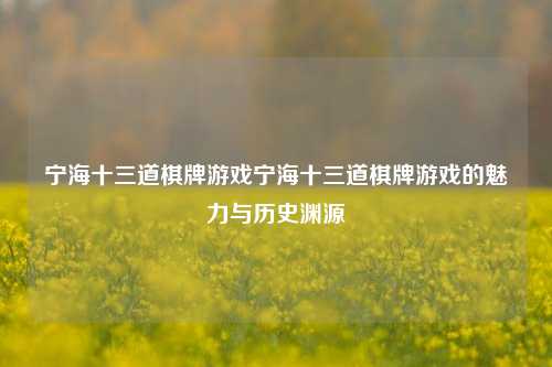 宁海十三道棋牌游戏宁海十三道棋牌游戏的魅力与历史渊源