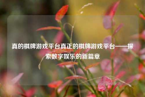 真的棋牌游戏平台真正的棋牌游戏平台——探索数字娱乐的新篇章