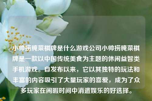 小帅捞腌菜棋牌是什么游戏公司小帅捞腌菜棋牌是一款以中国传统美食为主题的休闲益智类手机游戏。自发布以来，它以其独特的玩法和丰富的内容吸引了大量玩家的喜爱，成为了众多玩家在闲暇时间中消遣娱乐的好选择。