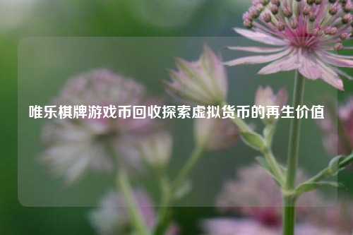 唯乐棋牌游戏币回收探索虚拟货币的再生价值