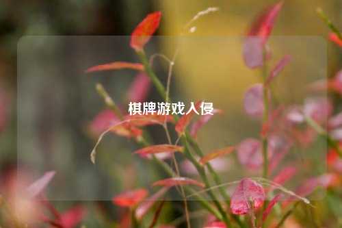 棋牌游戏入侵