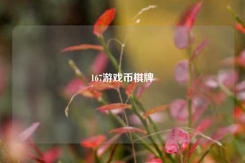 167游戏币棋牌
