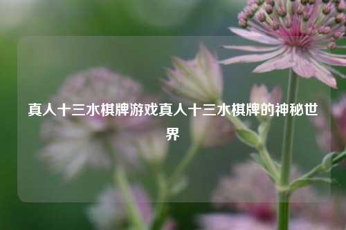 真人十三水棋牌游戏真人十三水棋牌的神秘世界
