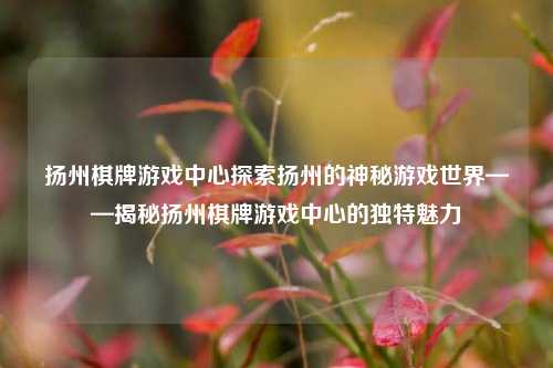 扬州棋牌游戏中心探索扬州的神秘游戏世界——揭秘扬州棋牌游戏中心的独特魅力