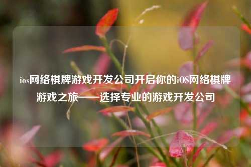 ios网络棋牌游戏开发公司开启你的iOS网络棋牌游戏之旅——选择专业的游戏开发公司